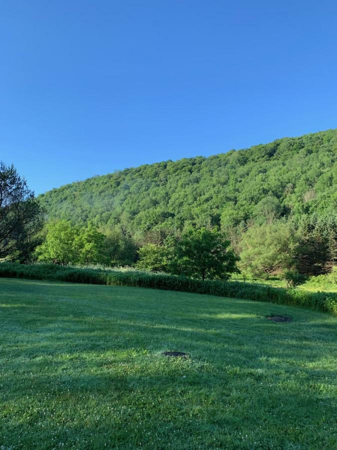 The Maples Apt - King Bed, Pet Friendly, Beautiful Views Еликотвил Екстериор снимка